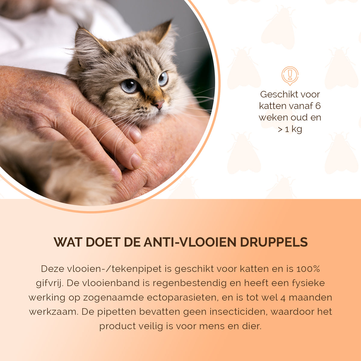Knock Pest vlooien-tekenpipet Kat DE/UK