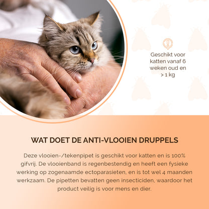 Knock Pest vlooien-tekenpipet Kat DE/UK