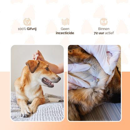 Knock Pest vlooien-tekenpipet Hond <5 kg