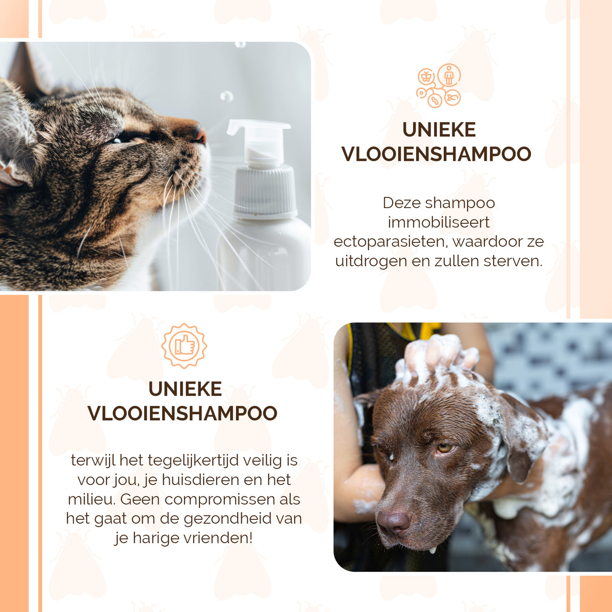 Knock Pest Vlooienshampoo 100 ml