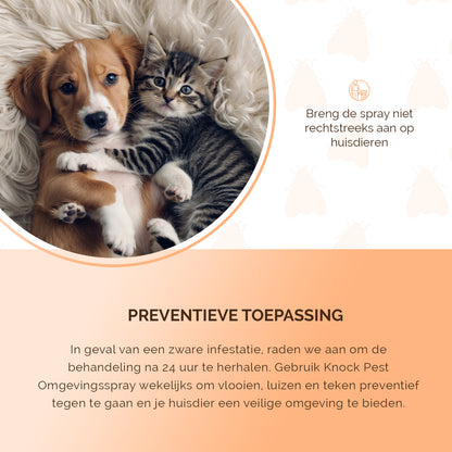 Knock Pest Omgevingsspray 250 ml
