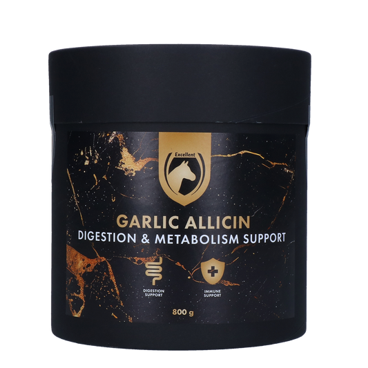 Excellent Horse Garlic Allicin Powder 800 g