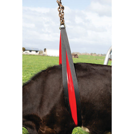Koelifter Belly Strap Front Lift 2,4 meter