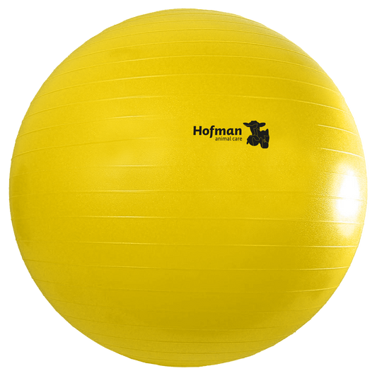 Maximus Power Play Ball 100 cm