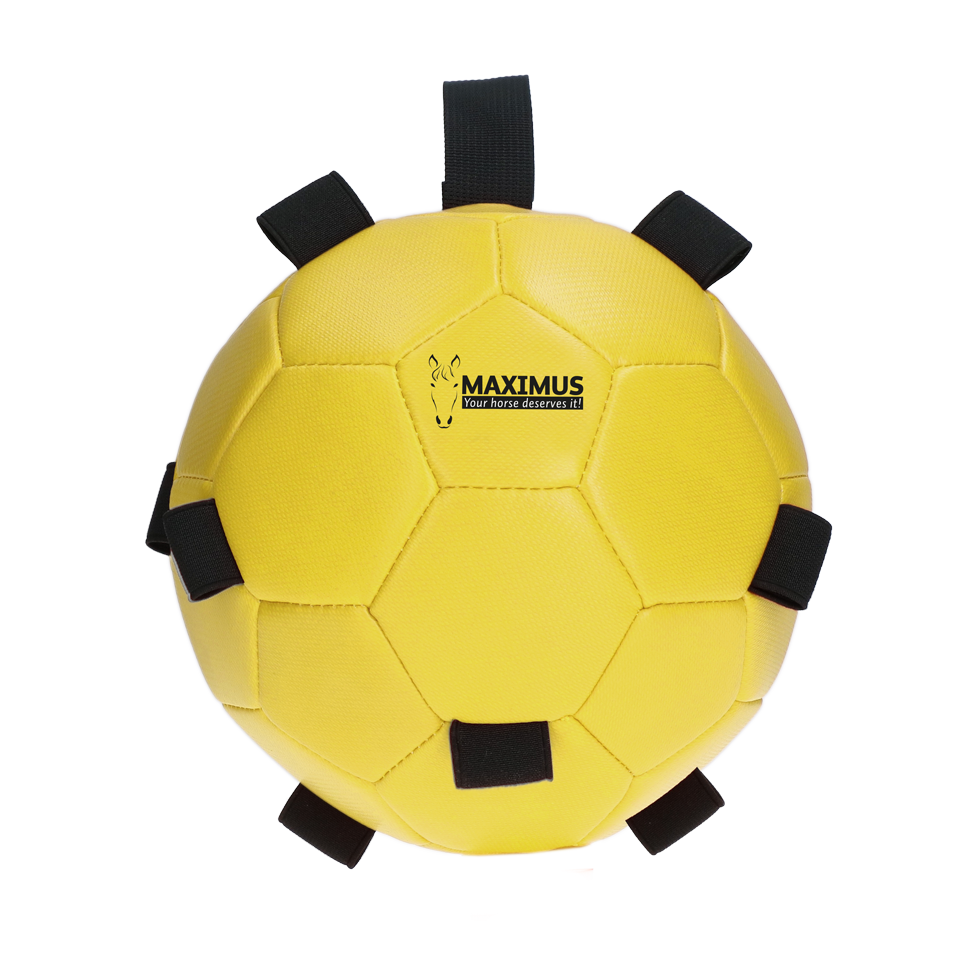 Excellent Horse Fun Play Ball Geel