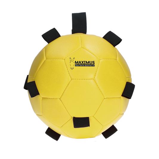 Excellent Horse Fun Play Ball Geel