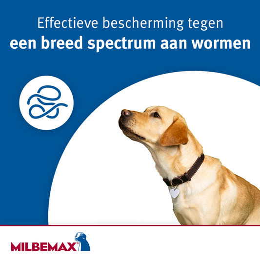 Milbemax Tabletten Hond Groot 5-75kg 4 tabl.