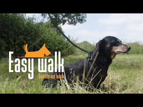 Easy Walk Schoudermodel Rood - Mini