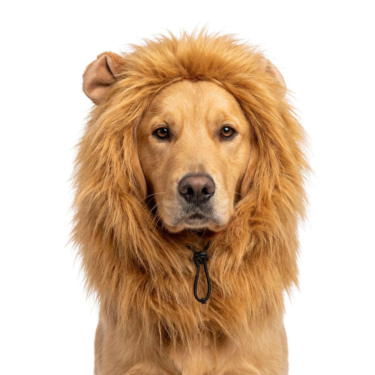 Oranje Manen Tooi L