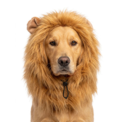 Oranje Manen Tooi L