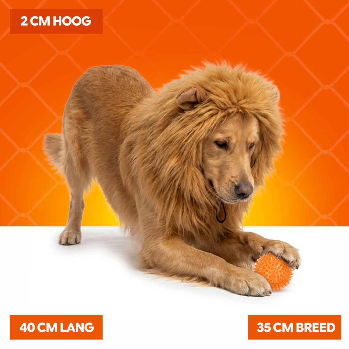 Oranje Manen Tooi L