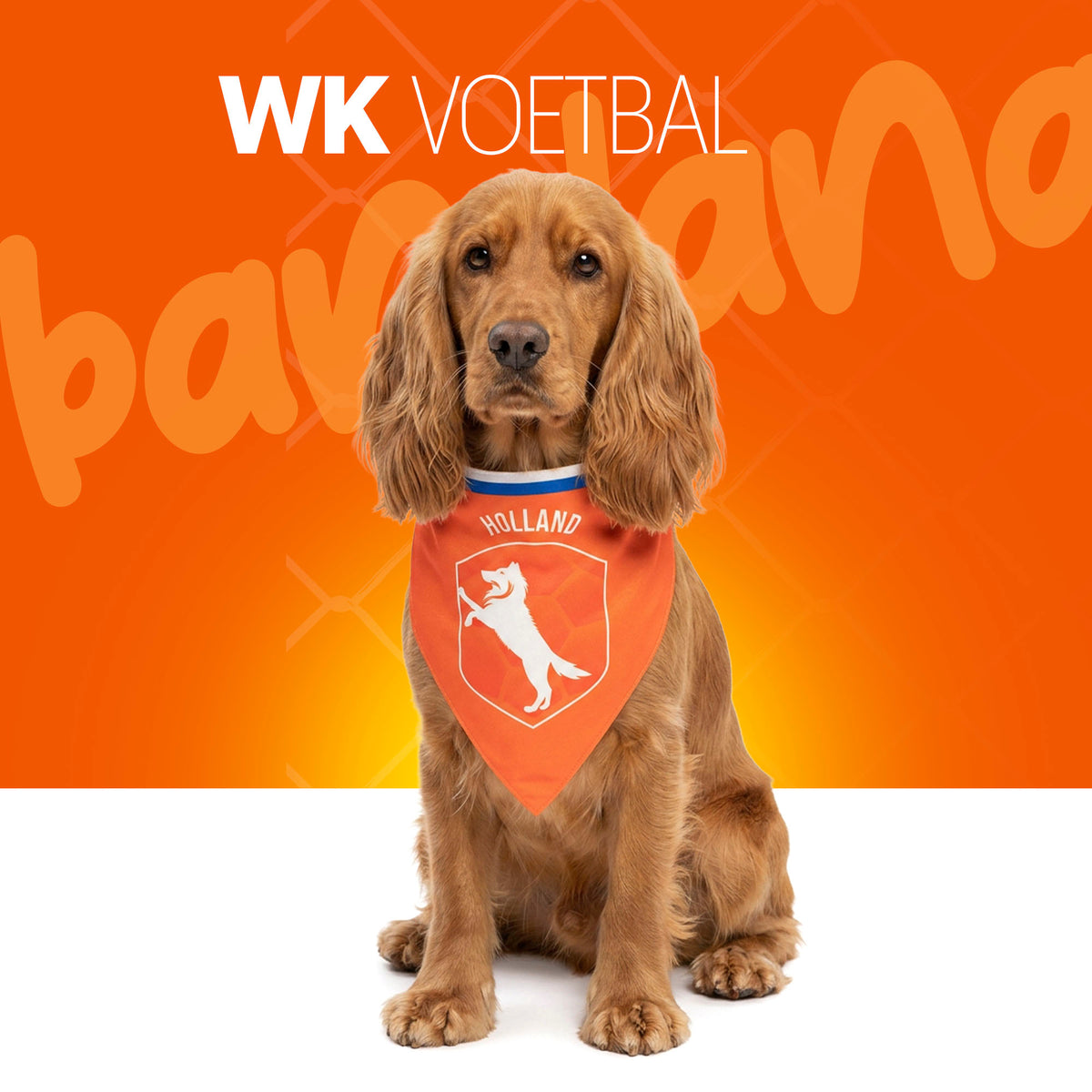 Oranje Bandana Holland M