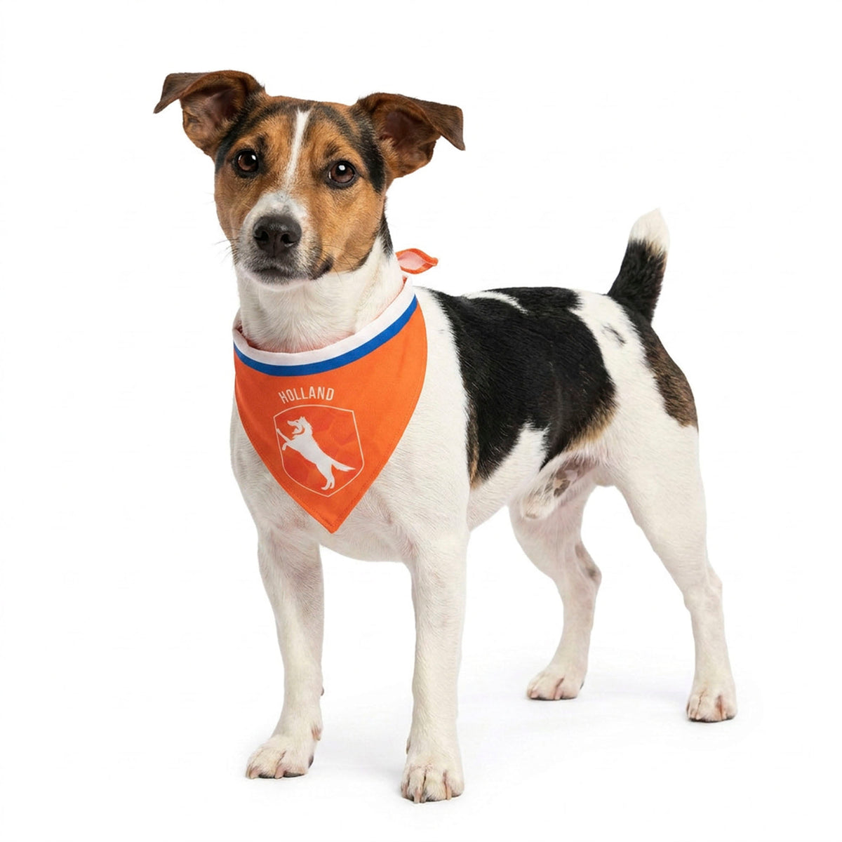Oranje Bandana Holland S