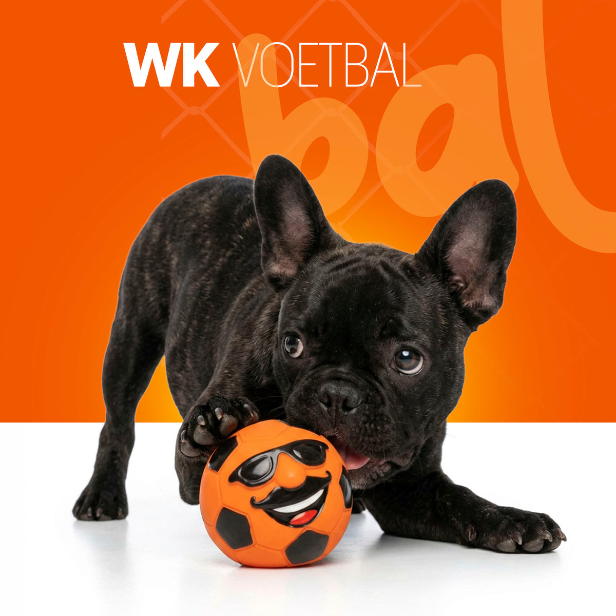 Oranje Mr. Dutch M