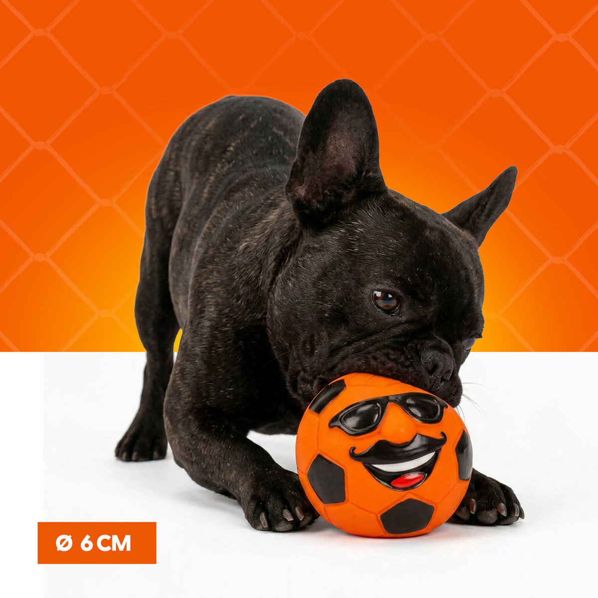 Oranje Mr. Dutch M