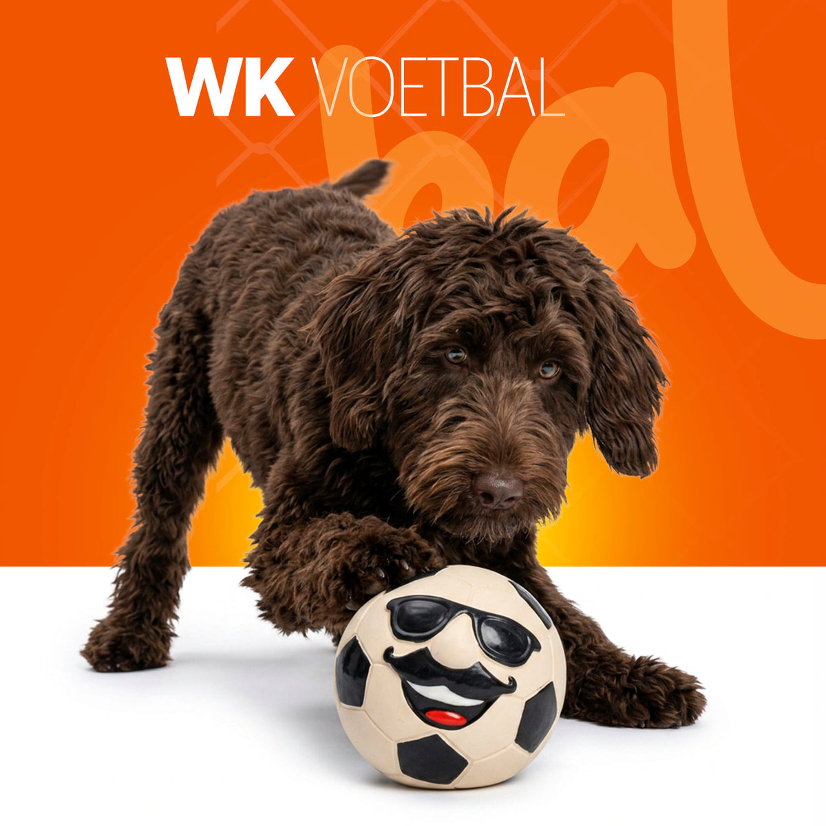 Oranje Mr WK Soccer L