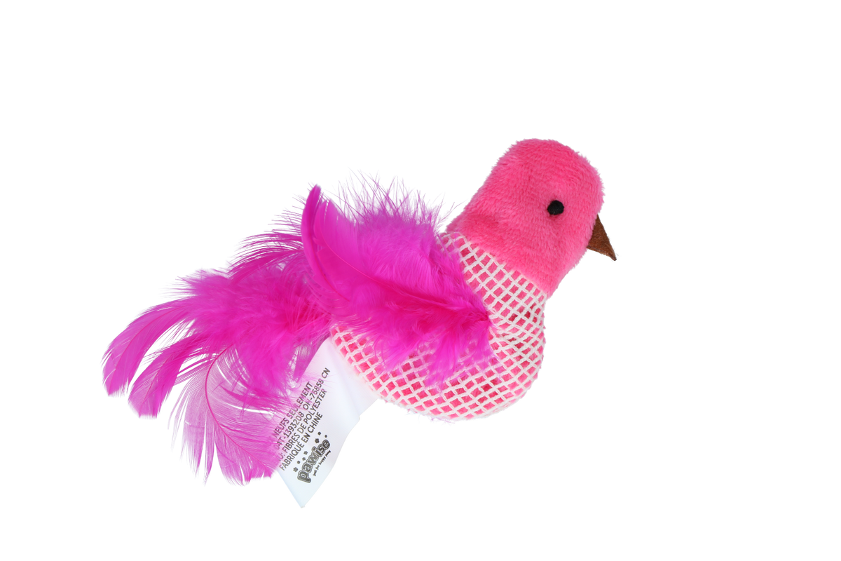 Pawise 100% Catnip Toy Vogel