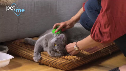 Pet+Me Cat Hair Brush Lang haar Groen