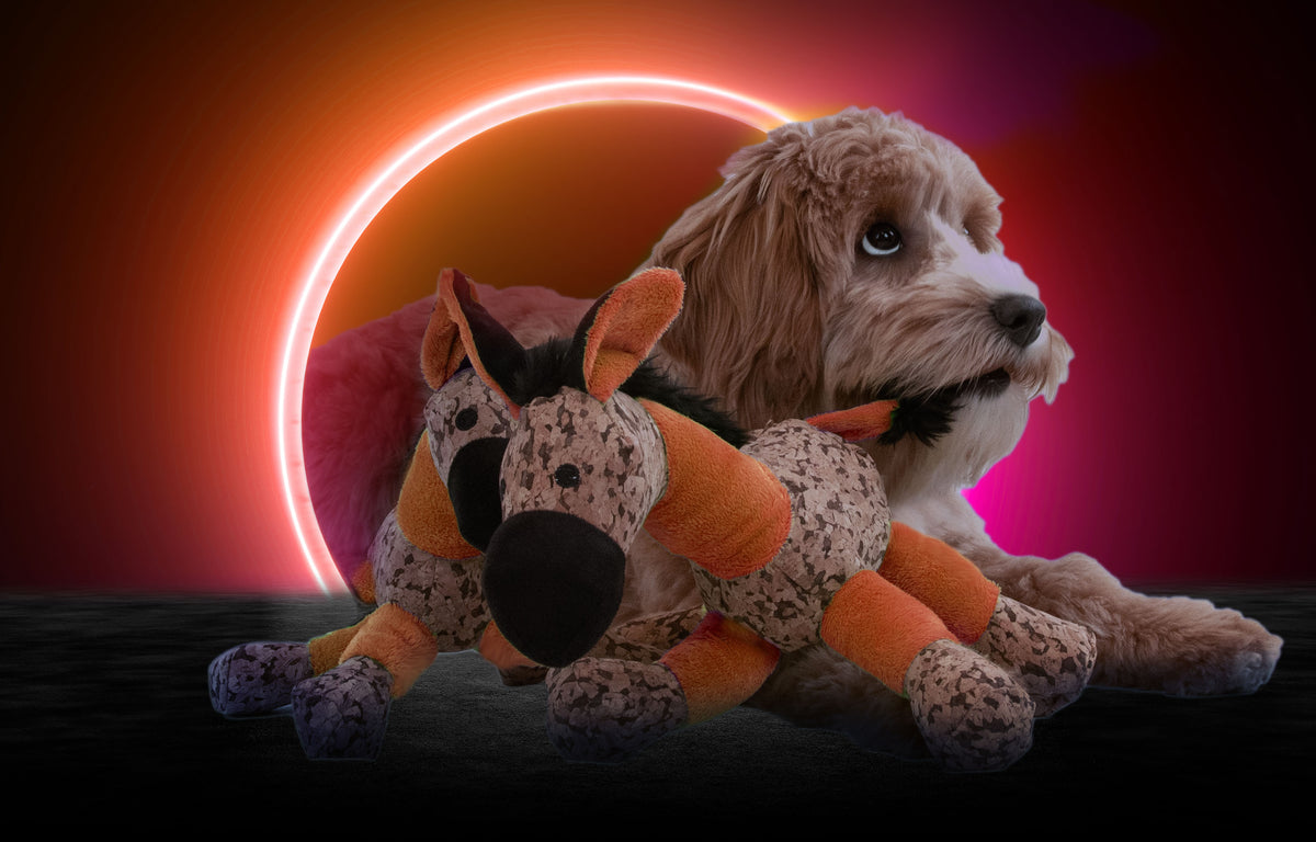 Retrodog Donkey Oranje S