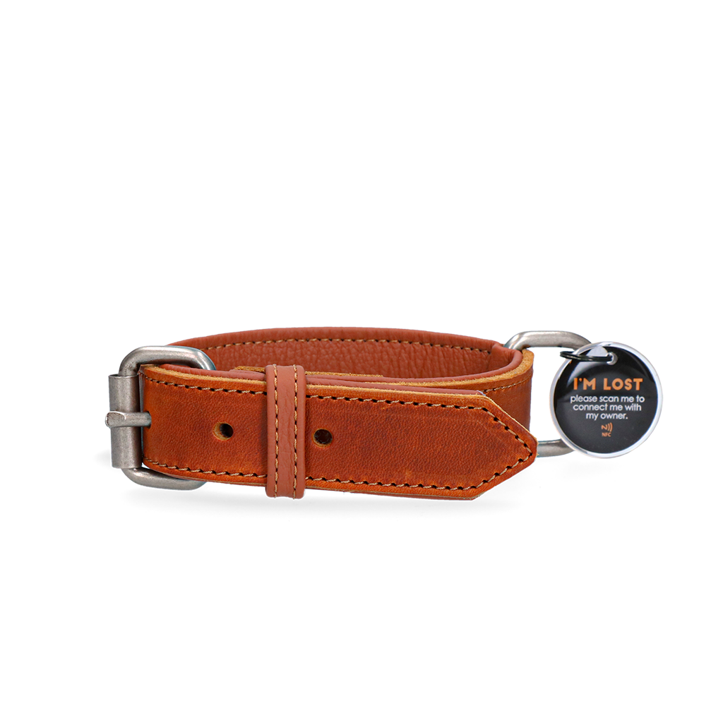 Spotted! Pro Leren Halsband 55 cm - Cognac