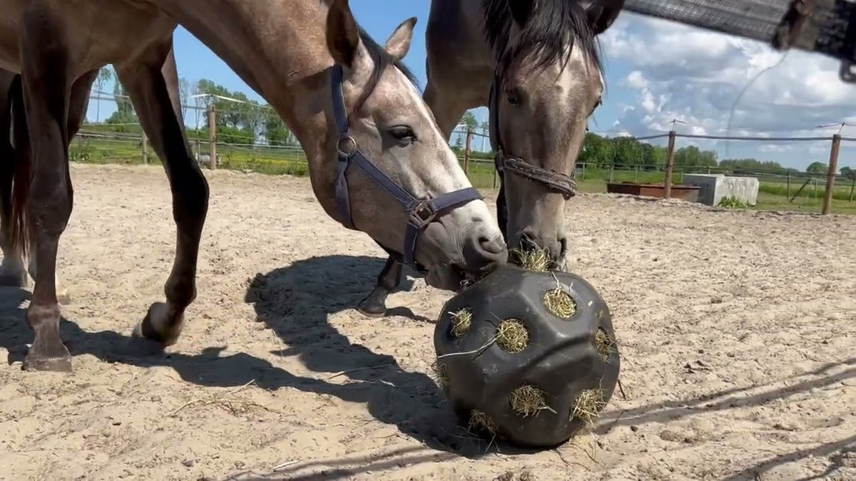 Excellent Horse Feed & Play Ball Paars