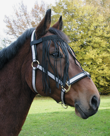 Vliegenfrontriem Paard maat: Full Pony