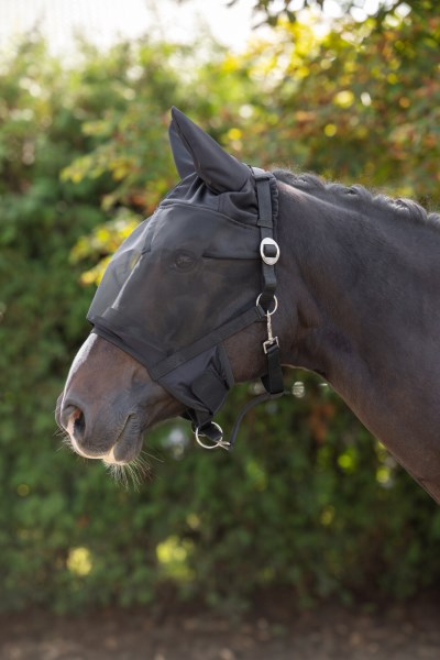 Halster met geïntegreerd vliegenmasker Pony