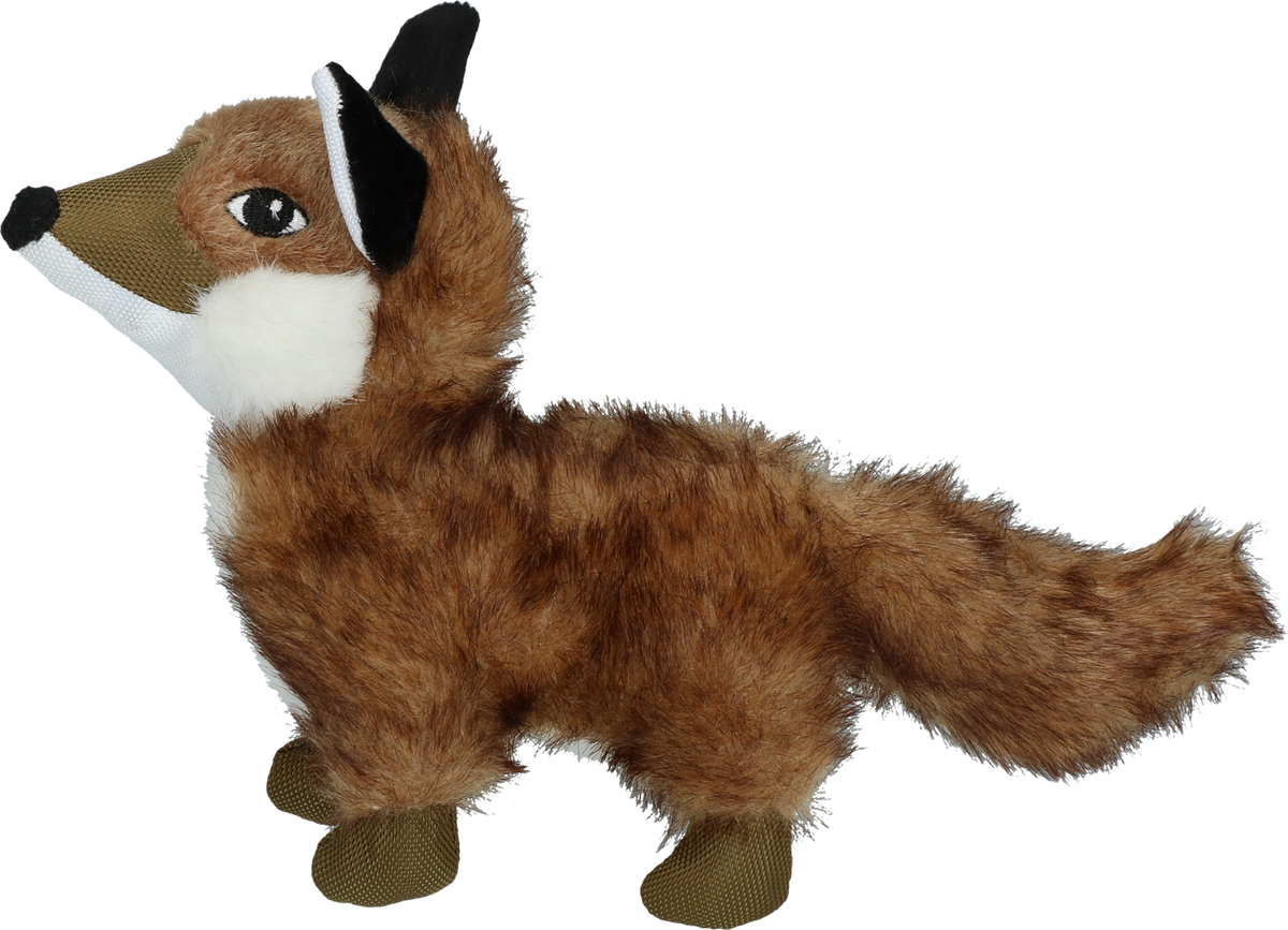 Wild Life Dog Vos