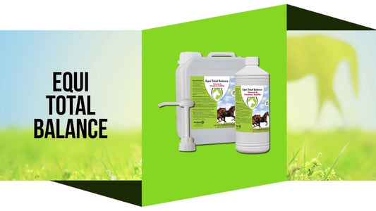 Excellent Horse Total Balance 1 l