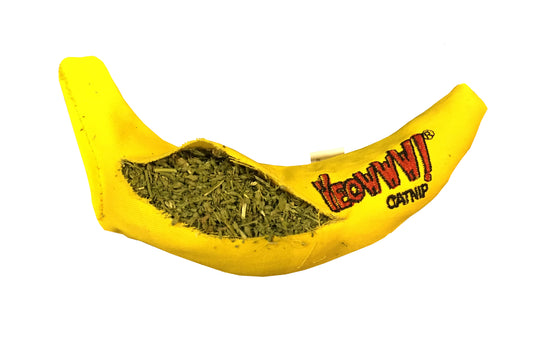 Yeowww! Chicata Banana