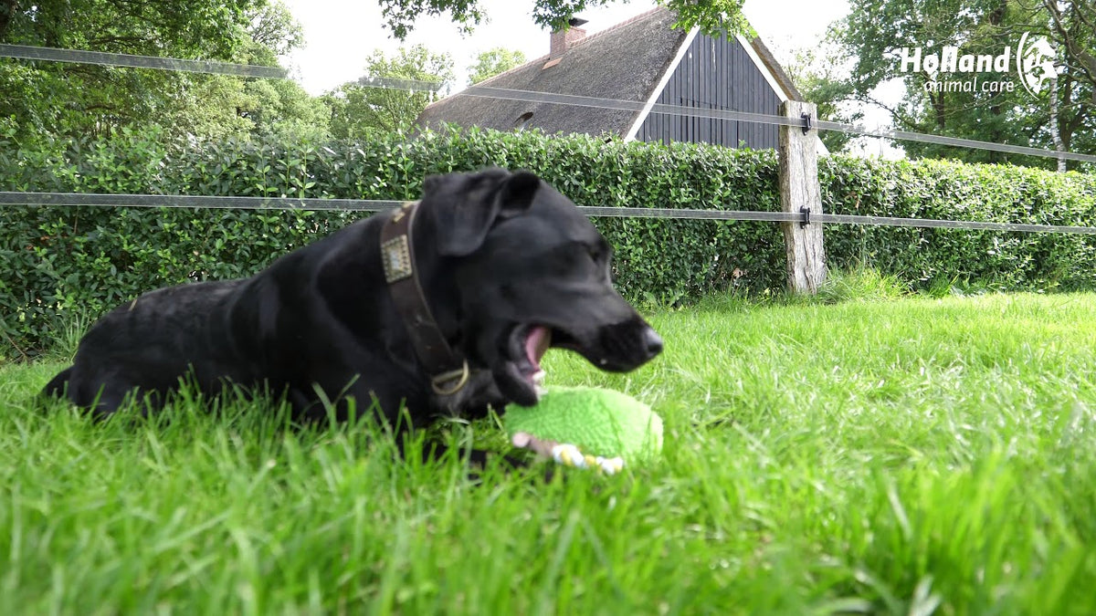 Fuzzle met pieper Konijntje