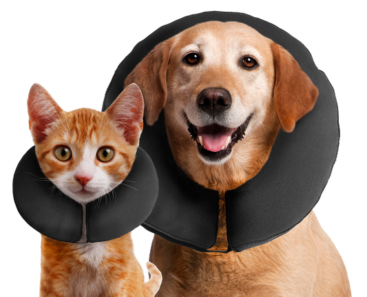 Zenpet ProCollar XL