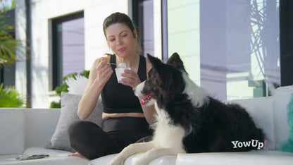 YowUp! Yogurt Dogs Skin & Hair Salmon